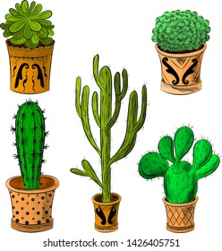 set of houseplants green cacti vector