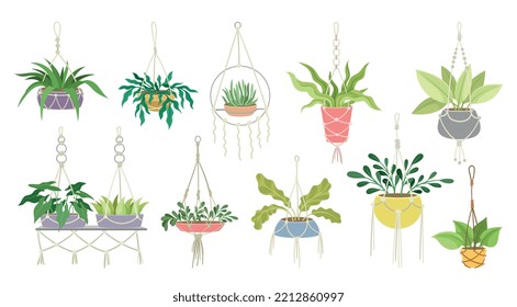 Set of houseplants hanging on macrame. Plants or flowers in pots for home decoration. Organic design elements. Floristics, gardening and botany. Cartoon flat vector collection isolated on white