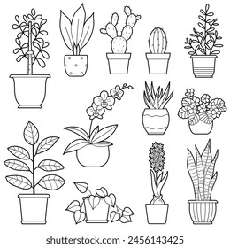 Set of Houseplants.  Indoor flowers in pots. Outline illustration, design elements or page of children's coloring book