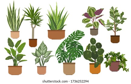 Poner Huertos. Plantas interiores en macetas de cerámica marrón. Dieffenbachia, dracaena, monstera, hiedra, aloe vera, sansevieria, yuca de palma, ficus, pilea, calatea, higos. Ilustración de dibujos animados