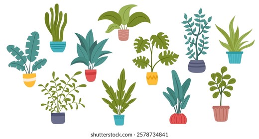 Set of houseplants isolated on white. Concept of indoor greenery, home decor, nature, botanical design, ecology, care, growth and sustainability. Vector hand drawn cliparts.