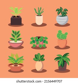 set of houseplants leaves nature