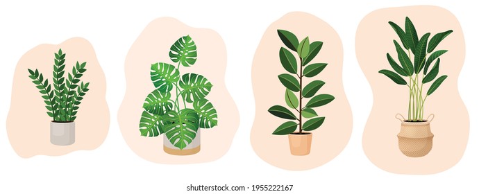 Set of houseplants - monstera,  ficus, ravenala palm, rubber plant, pipal, zamioculcas. Vector illustration isolated on white background. Trendy home decor and indoors with plants, urban jungle.