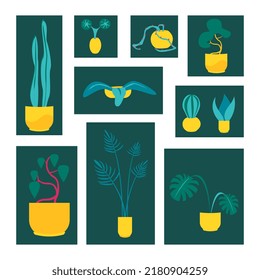 Set of houseplants on a background of dark rectangles, composition for postcards, posters, prints, stickers, textiles, fabrics