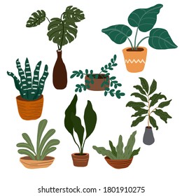 Set of houseplants on a white background in vector graphics. For the design of posters, wallpapers, covers for diaries, stickers.