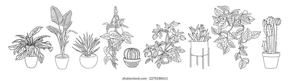 Set of Houseplants outline drawing vector isolated