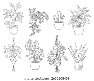 Set of Houseplants outline drawings. Indoor exotic flowers in pots line art. Monstera, aloe, hanging plant for home interior plans, design. Vector illustrations isolated	