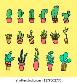 Set of houseplants in pots
