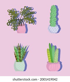 set of houseplants in pots