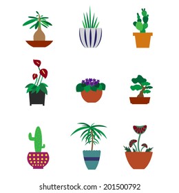 Set of houseplants in pots