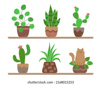 Conjunto de plantas domésticas en ollas y gato. Estanterías con plantas verdes. Cacti y flores. Una mascota divertida en una maceta de flores. Jardín de la casa. Dibujo manual de dibujos de dibujos planos Vector. Aislado sobre fondo blanco