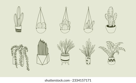 Set of houseplants in pots, home garden, hand drawn home ornamental plants vector illustration; isolated potted flowers clipart