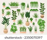 Set of houseplants in a pots for home, office, premises decor. Colorful vector collection of illustrations isolated on white background. Trendy home decor with plants, urban jungle.