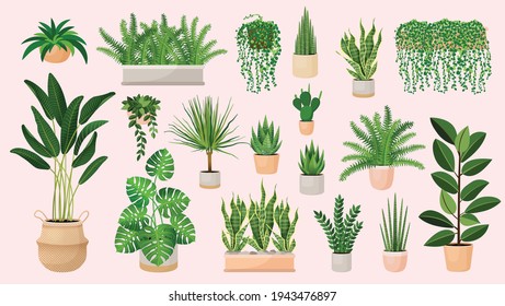 Set of houseplants in a pots for home, office, premises decor. Colorful vector collection of illustrations isolated on pink background. Trendy home decor with plants, urban jungle.  