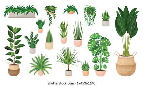 Set of houseplants in a pots for home, office, premises decor. Colorful vector collection of illustrations isolated on white background. Trendy home decor with plants, urban jungle.  