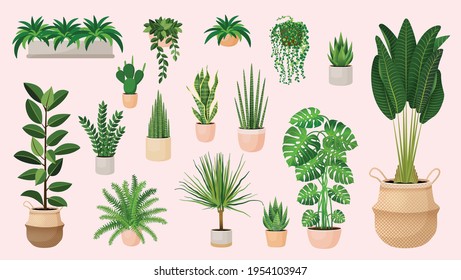 Set of houseplants in a pots for home, office, premises decor. Colorful vector collection of illustrations isolated on pink background. Trendy home decor with plants, urban jungle.  