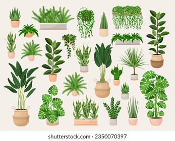 Montaje de plantas en un pote para el hogar, oficina, decoración de locales. Colorida colección vectorial de ilustraciones aisladas en fondo blanco. Decoración de moda en casa con plantas, jungla urbana.