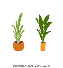 Set of houseplants in a pots for home, office, premises decor. Vector collection of illustrations isolated on white background. Trendy home decor with plants, urban jungle.