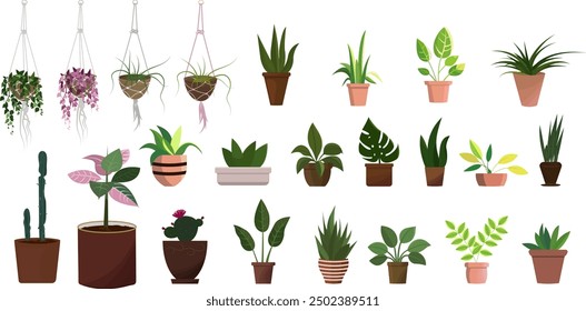 Set of houseplants in a pots for home, office. Indoor plant in flowerpot. Trendy home decor with plants, urban jungle. Vector illustration