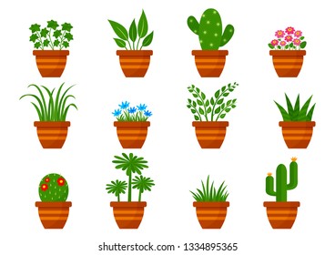 Set of houseplants in pots, indoor flowers. Vector illustration