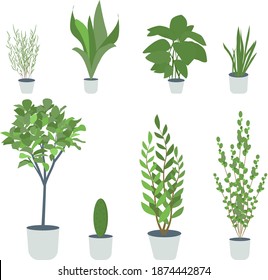 Set of houseplants in pots isolated on white background. Cartoon flat vector illustration.