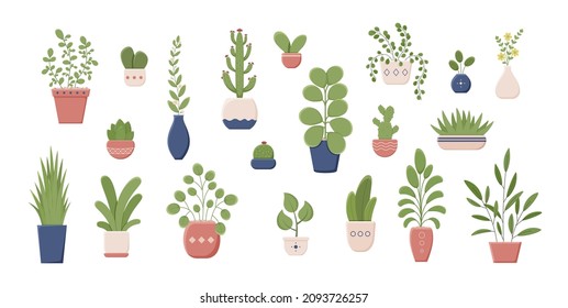 Set of houseplants in pots vector flat illustration. Collection of various plant in ceramic container. 