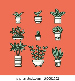 Set of houseplants in pots. Vector illustration.