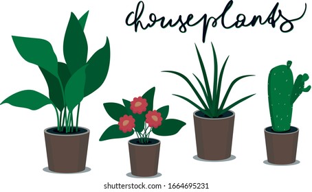 set of houseplants in pots vector isolated for your design