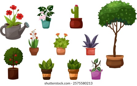 Set of houseplants, trees in a pots for home, office, coffeeshop, school. Different trendy indoor potted decorative plants. Monstera, cacti, apple tree and others vector illustrations