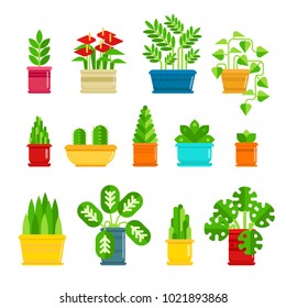 Set of houseplants vector icons in flat design. Various plants collection in flowerpots isolated on white background. Indoor plants icons and infographic elements - stock vector illustration.