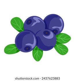 Conjunto de arándanos con hojas, ilustración vectorial, aislado en blanco, eps10 