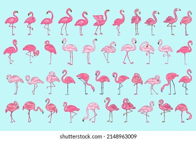 Set Huge Collection Bundle of Cute Flamingo pink Bird flamingos Aesthetic Tropical Exotic Hand drawn flat style collection