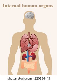 Set of human anatomy parts: brain, liver, heart, kidney, lung, stomach and esophagus