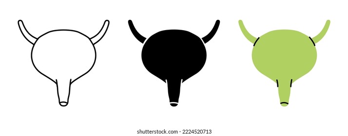 Set of human bladder symbols. Human bladder icons in color, black and thin line style. Vector illustration. Human organ icons