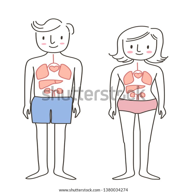 Set of human body diagram of man and woman. Healthy life concept with