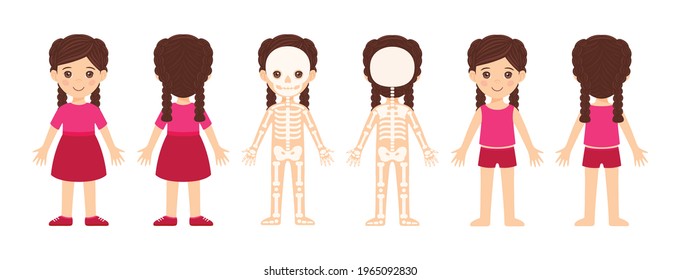 Conjunto de esqueletos humanos. Aislada linda caricatura de niña pequeña y su esqueleto. Vista frontal y posterior. Ilustración para niños.Estudio de la anatomía. Estilo de color plano. Fondo blanco. Vector.