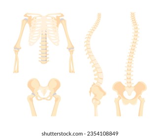 Set of Human Bone Disease Vector