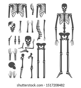 Set of Human bone orthopedic Logo Concept Vector. Bone image of human joints. Anatomy skeleton flat design Template illustration. Icon Symbol
