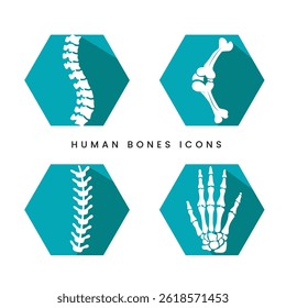 A set of human bones icons, Vector art of human bones, Elements for creating logo for orthopaedic hospital