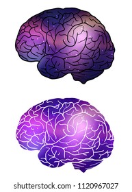 Set of human brain with cosmic background. Cosmos and nebulae.  Inspiration.  Vector element for your design 
