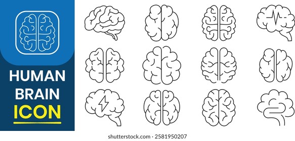  Set of Human brain icon vector. Human mind process, human organ, emotions, central nervous system, brainstorming, idea, creativity, knowledge, mind refresh, brain health. Vector illustration