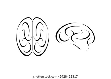 Set Human Brain Line Drawing Vectors on White Background
