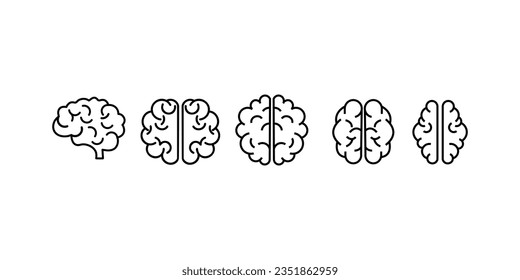 Set of human brains. Vector illustration.