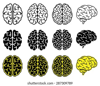 Set of human brains. Vector illustration.