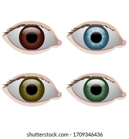 Set aus menschlichen Augen verschiedener Farben auf weißem Hintergrund: braune, blaue, gelbe und grüne Schüler
