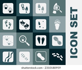 Set Human footprints shoes, Bear paw, Seagull, Paw and  icon. Vector