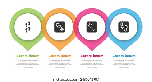 Set Human footprints shoes, , Dove paw and . Business infographic template. Vector