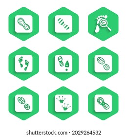 Set Human footprints shoes, Frog paw, Magnifying glass with footsteps and  icon. Vector
