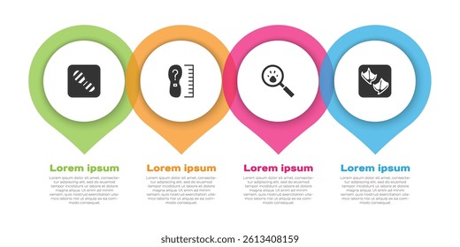 Set Human footprints shoes, Square measure size, Paw search and Seagull paw. Business infographic template. Vector