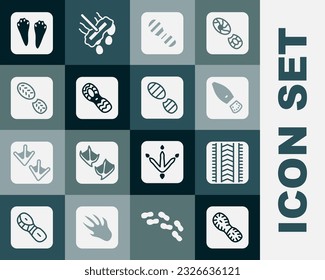 Set Human footprints shoes, Tire track, Rabbit and hare paw and  icon. Vector